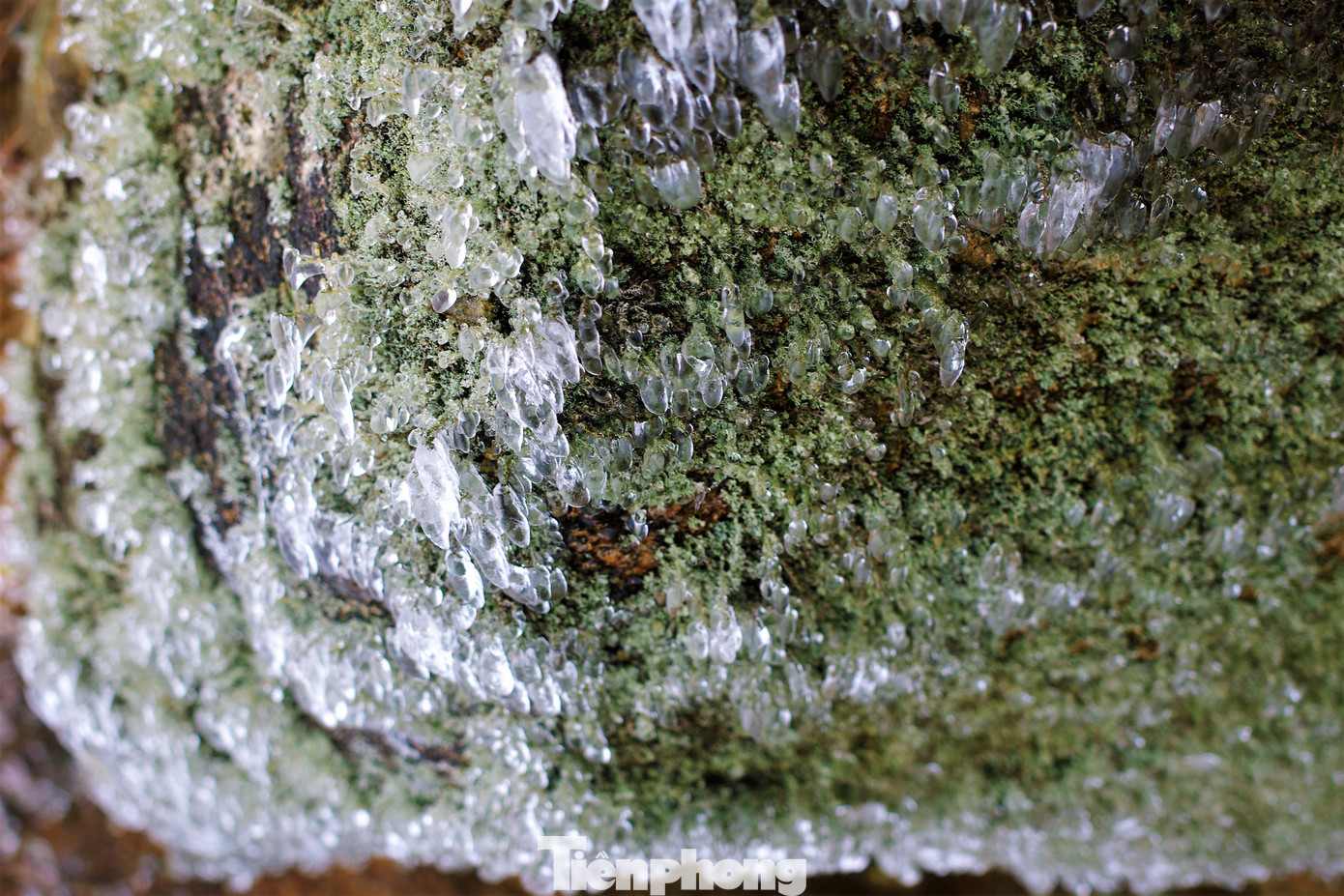 Mê mẩn ngắm cảnh băng tuyết phủ trắng Bình Liêu ảnh 7