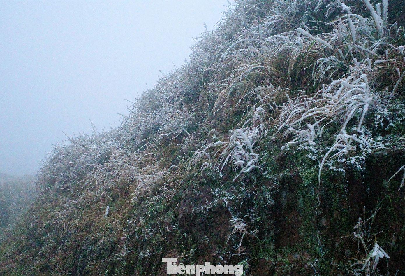 Mê mẩn ngắm cảnh băng tuyết phủ trắng Bình Liêu ảnh 10