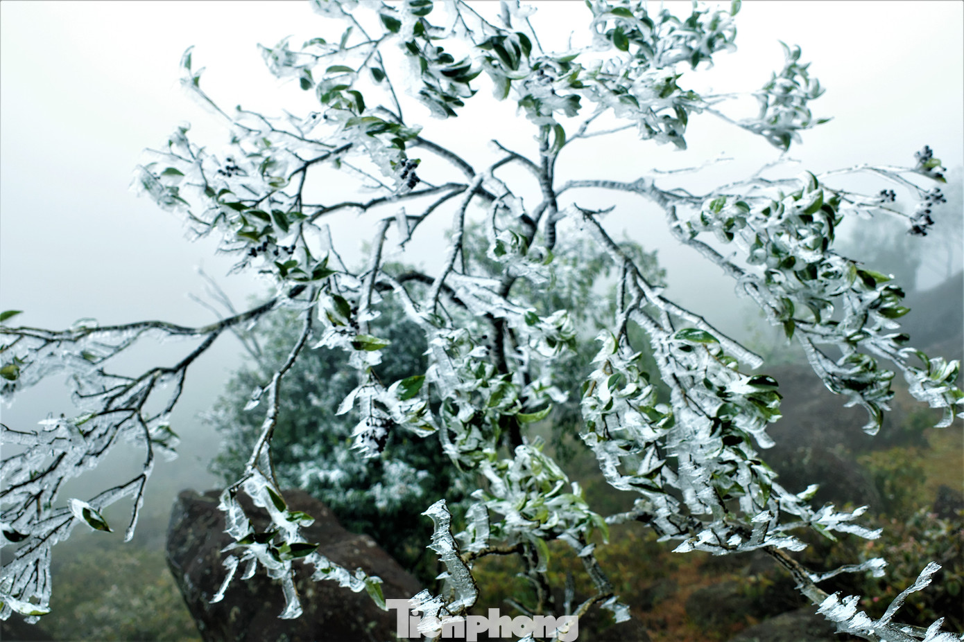 Mê mẩn ngắm cảnh băng tuyết phủ trắng Bình Liêu ảnh 3