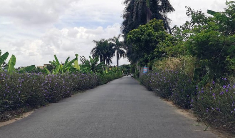 Kẻ bịt mặt chém trọng thương cán bộ quản lý đô thị ở Hải Phòng ảnh 1