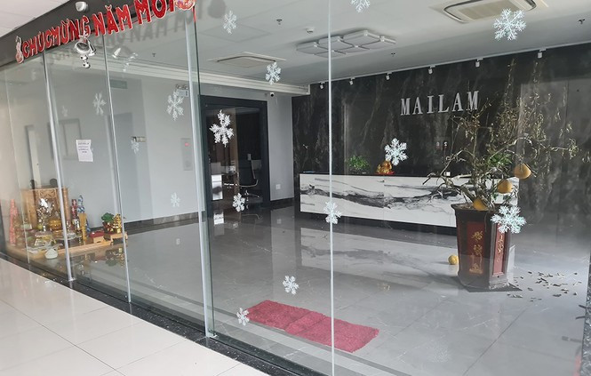 Khởi tố vụ án nữ giám đốc ở Hải Phòng chiếm đoạt hơn 200 tỷ đồng ảnh 1