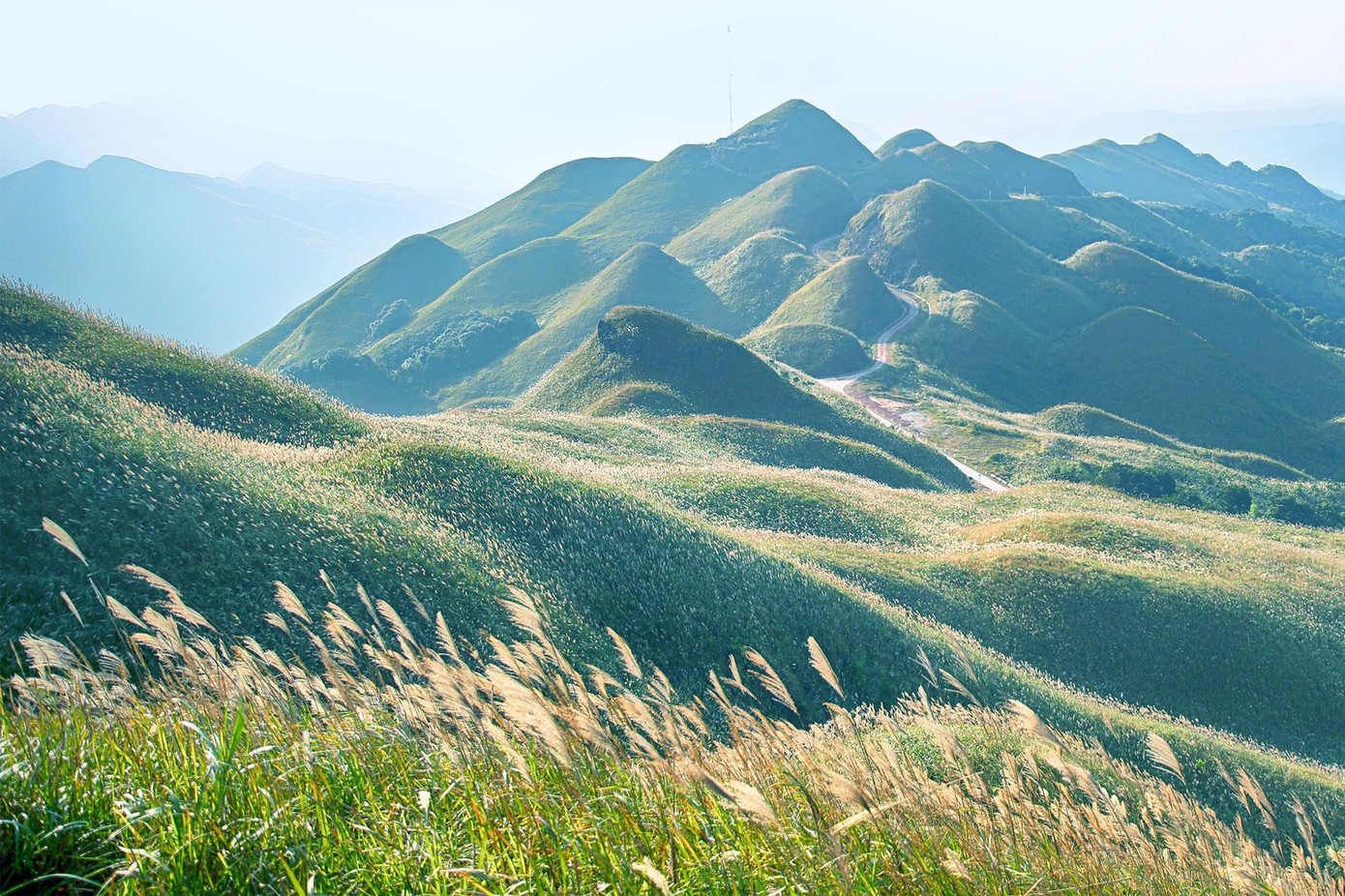 Quảng Ninh hút khách du lịch mùa đông ảnh 3