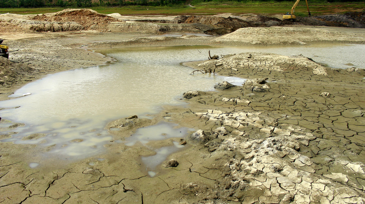 Điều chưa từng xảy ra ở hồ nước ngọt lớn nhất Quảng Ninh: Bò 'dạo chơi' giữa lòng hồ ảnh 3
