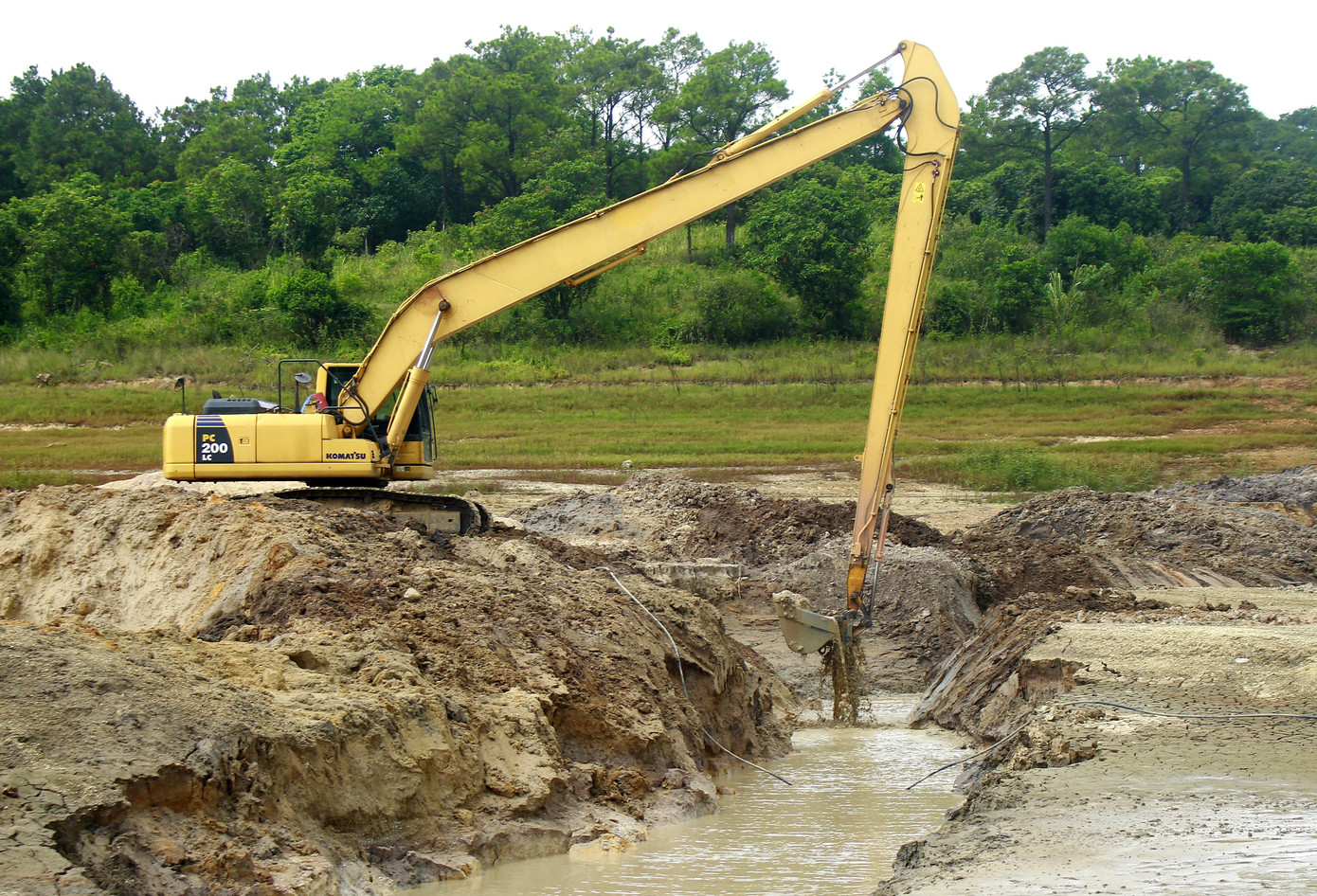 Điều chưa từng xảy ra ở hồ nước ngọt lớn nhất Quảng Ninh: Bò 'dạo chơi' giữa lòng hồ ảnh 5