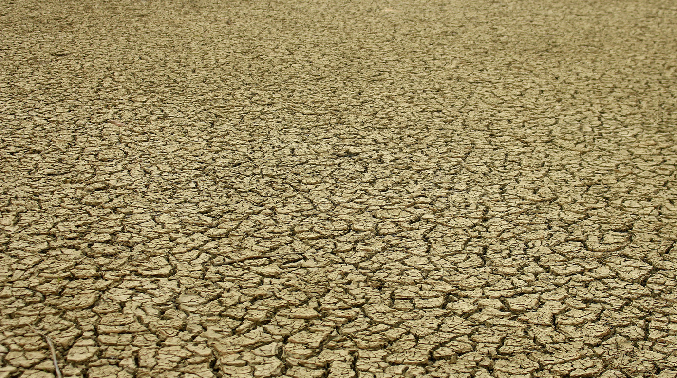 Điều chưa từng xảy ra ở hồ nước ngọt lớn nhất Quảng Ninh: Bò 'dạo chơi' giữa lòng hồ ảnh 6