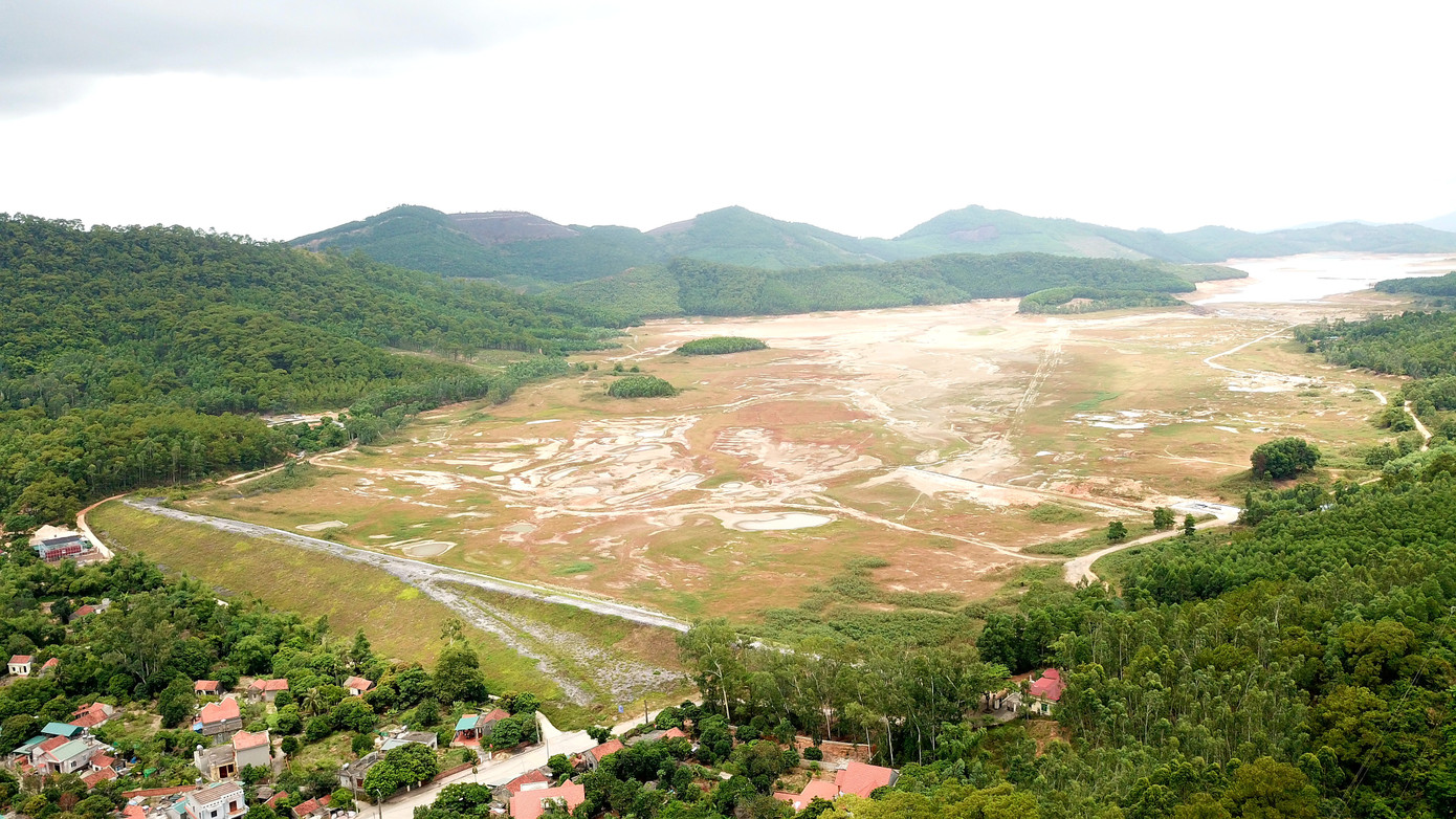 Điều chưa từng xảy ra ở hồ nước ngọt lớn nhất Quảng Ninh: Bò 'dạo chơi' giữa lòng hồ ảnh 4