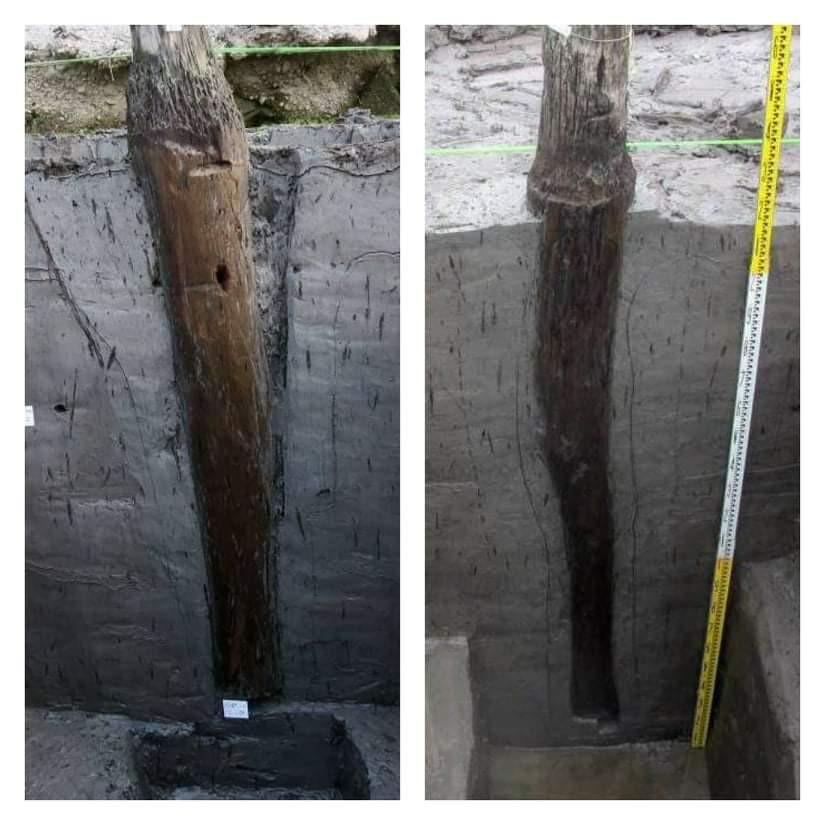 Thêm 37 cọc gỗ phát lộ được nhận định liên quan đến trận Bạch Đằng ảnh 4