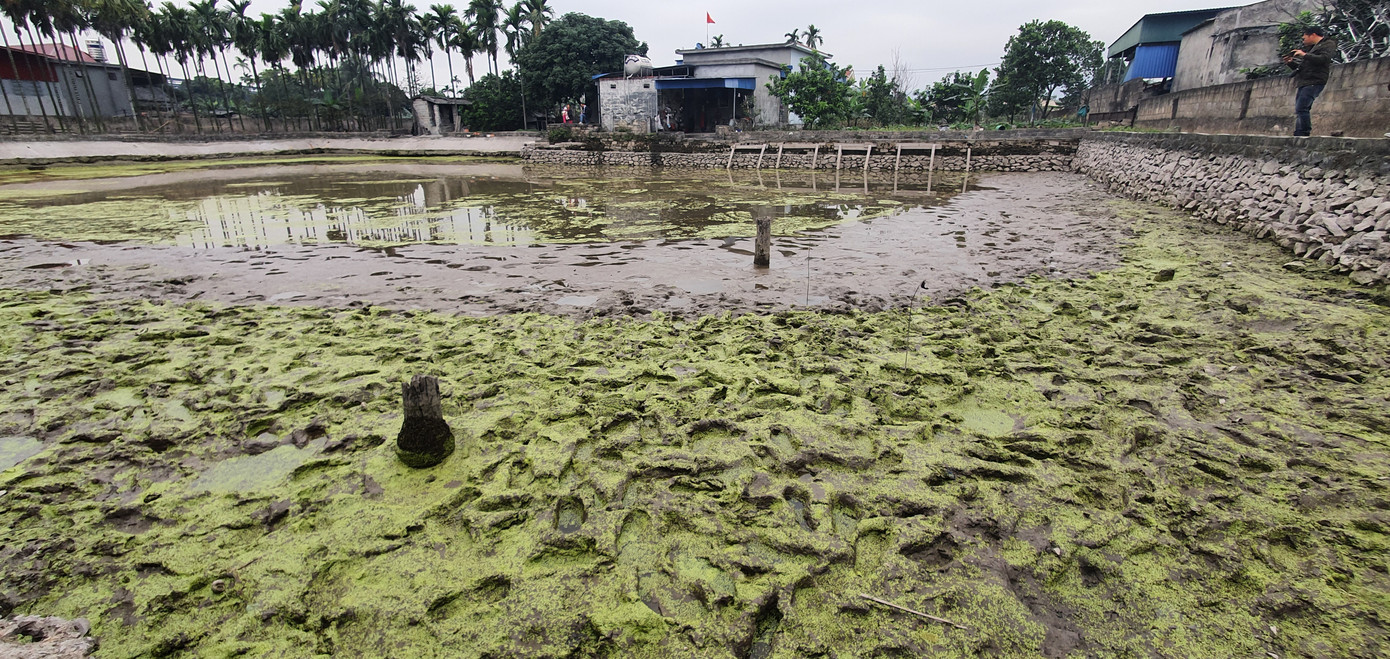Thêm 37 cọc gỗ phát lộ được nhận định liên quan đến trận Bạch Đằng ảnh 1