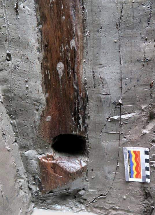 Thêm 37 cọc gỗ phát lộ được nhận định liên quan đến trận Bạch Đằng ảnh 3