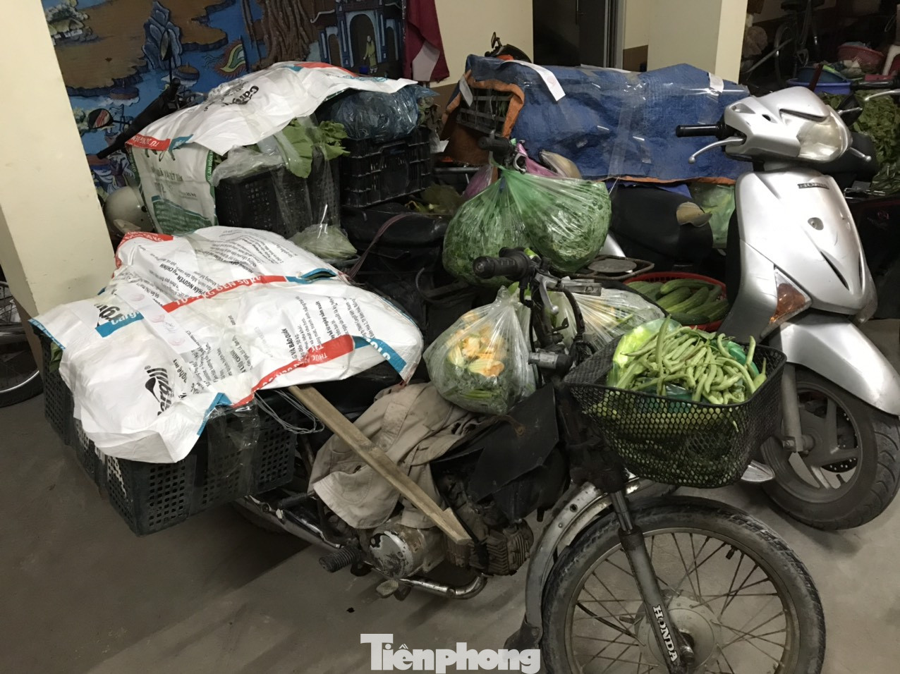 Mới nhất vụ Phó Chủ tịch phường xúc phạm người bán rau 'Con điên này!' ảnh 3