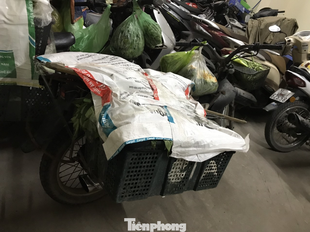 Mới nhất vụ Phó Chủ tịch phường xúc phạm người bán rau 'Con điên này!' ảnh 4