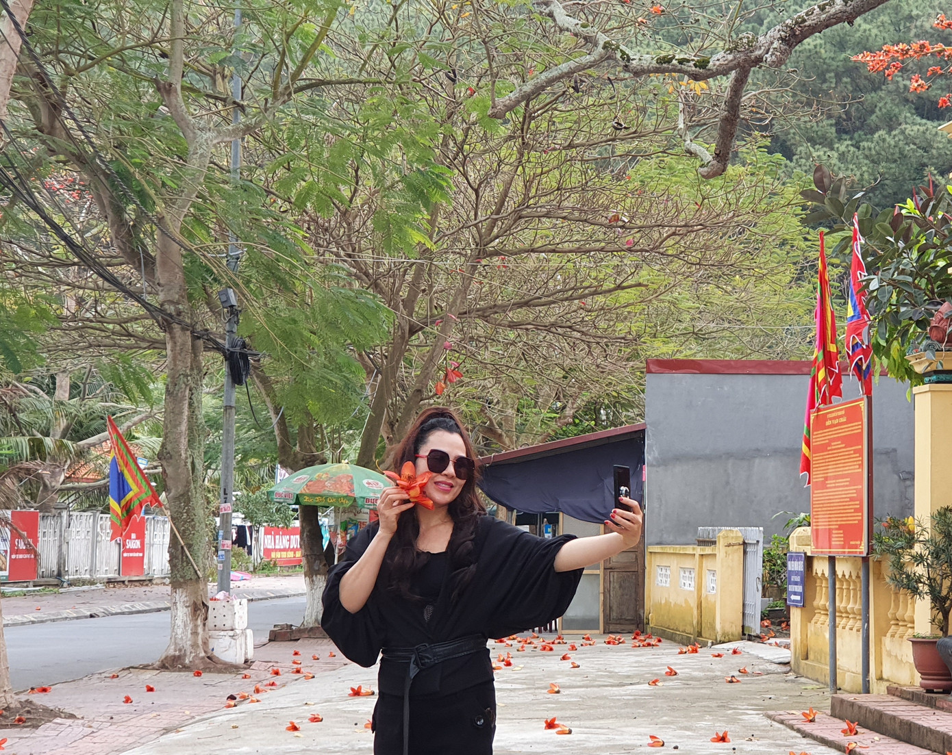 Trầm trồ vẻ đẹp 5 gốc gạo cổ thụ độc đáo ở Đồ Sơn ảnh 10