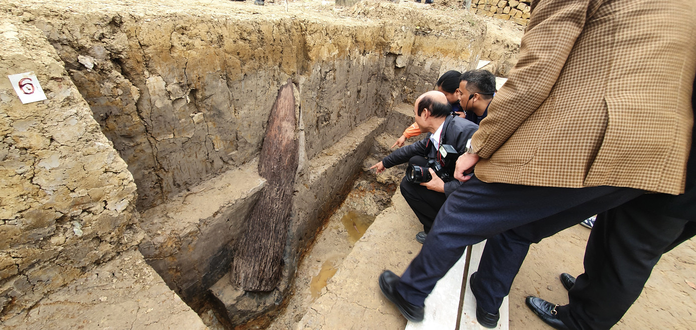 Có gì trong bãi cọc ngàn năm tuổi liên quan trận Bạch Đằng năm 1288 ở Hải Phòng? ảnh 6
