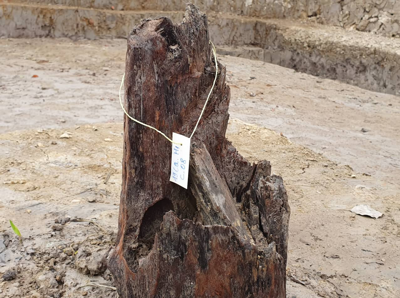 Giáo sư sử học Lê Văn Lan nói gì về bãi cọc nghìn năm tuổi ở Hải Phòng? ảnh 4