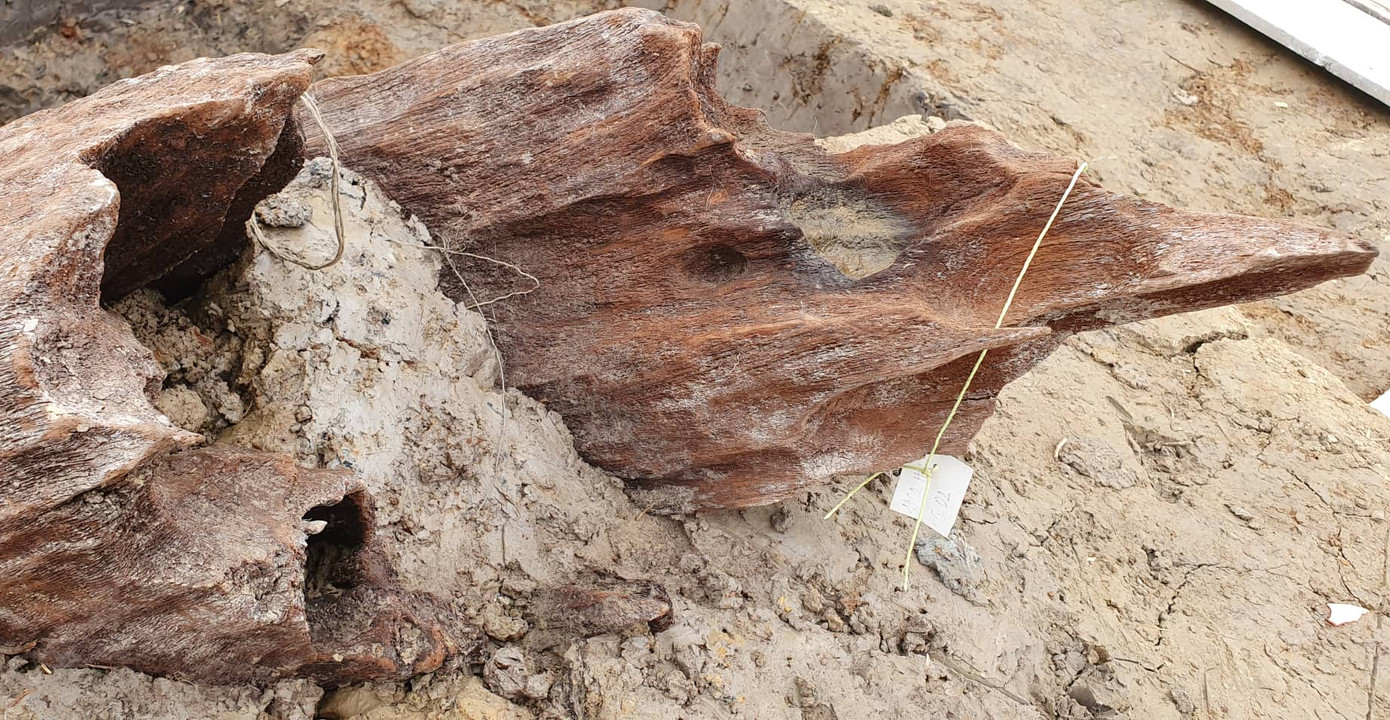 Giáo sư sử học Lê Văn Lan nói gì về bãi cọc nghìn năm tuổi ở Hải Phòng? ảnh 3