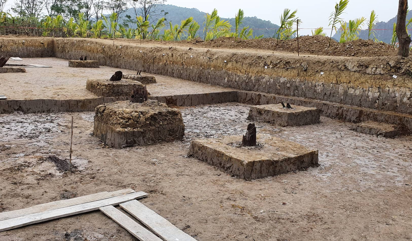 Giáo sư sử học Lê Văn Lan nói gì về bãi cọc nghìn năm tuổi ở Hải Phòng? ảnh 2