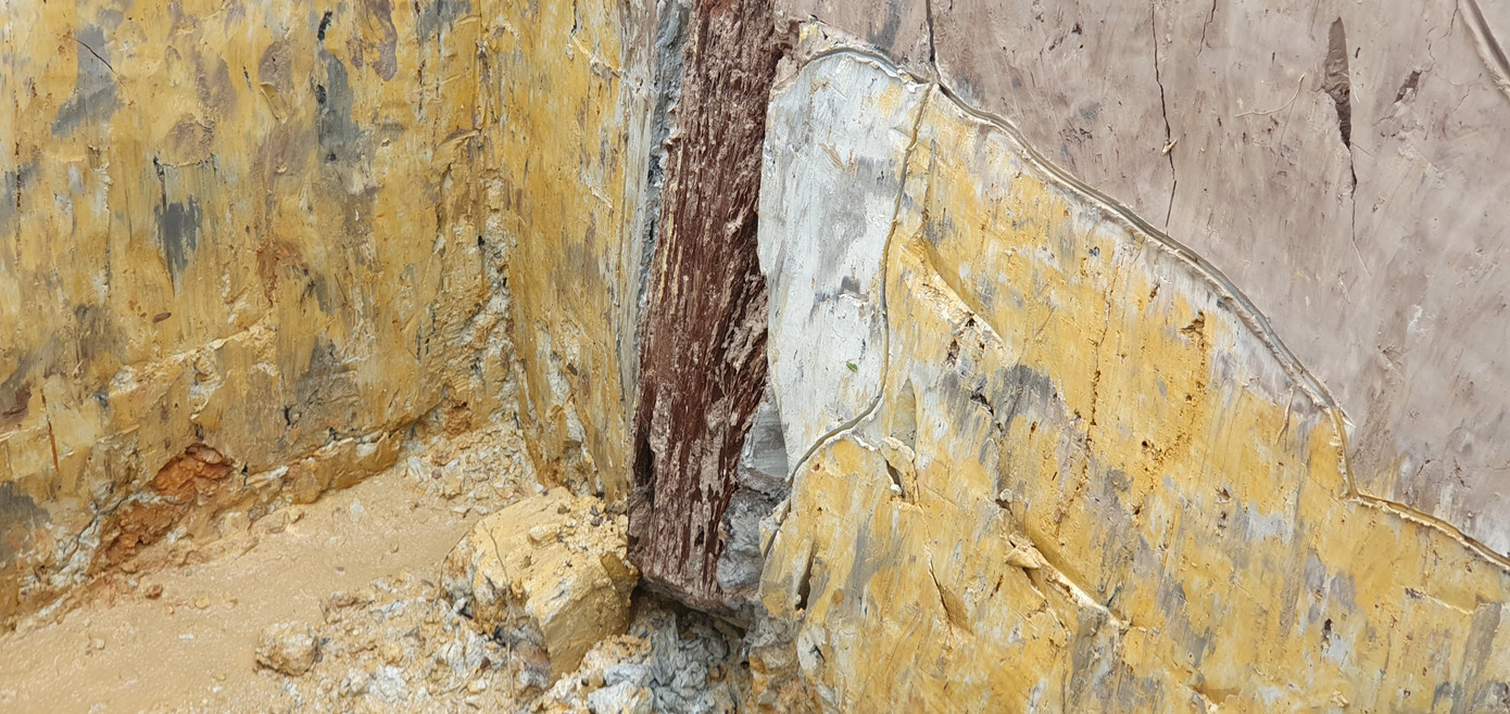 Có gì trong bãi cọc ngàn năm tuổi liên quan trận Bạch Đằng năm 1288 ở Hải Phòng? ảnh 4