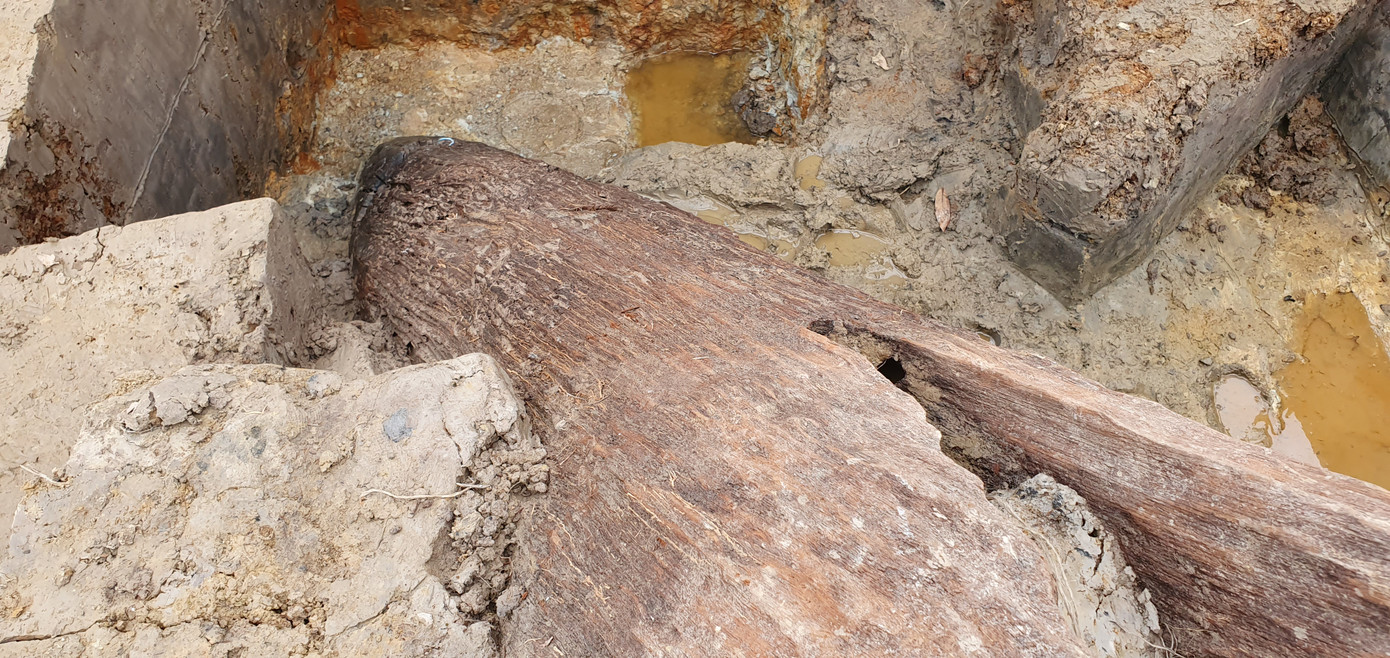 Có gì trong bãi cọc ngàn năm tuổi liên quan trận Bạch Đằng năm 1288 ở Hải Phòng? ảnh 5