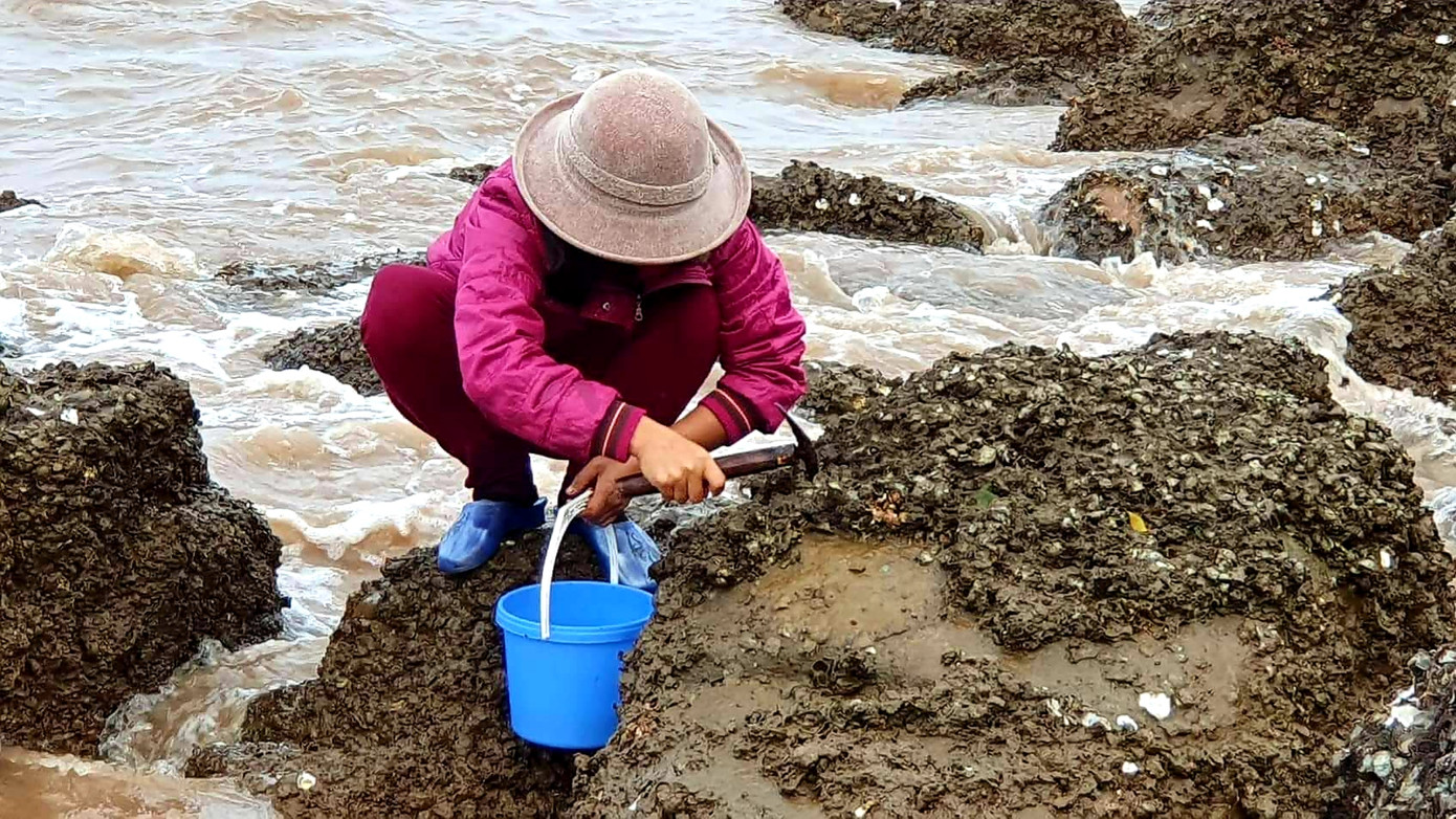 Theo chân người dân Đồ Sơn đi gõ hà biển ngày cuối năm ảnh 6