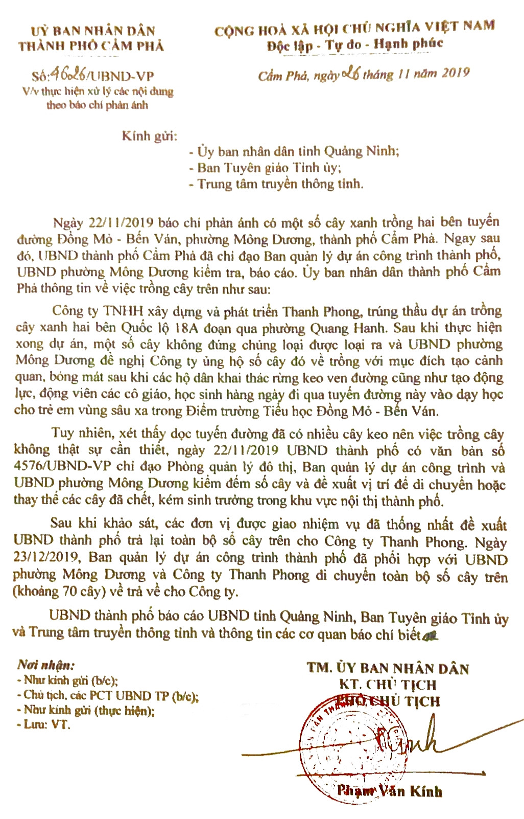 Vụ hàng cây tiền tỷ 'tự mọc': Mất công nhổ, chủ nhân mới đứng ra xin ảnh 4