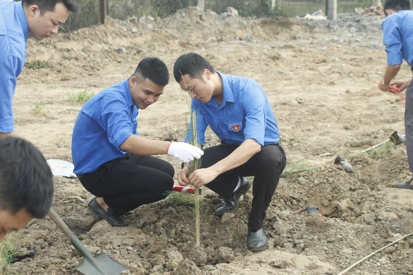 Tuổi trẻ ngành than hưởng ứng Ngày môi trường thế giới ảnh 4