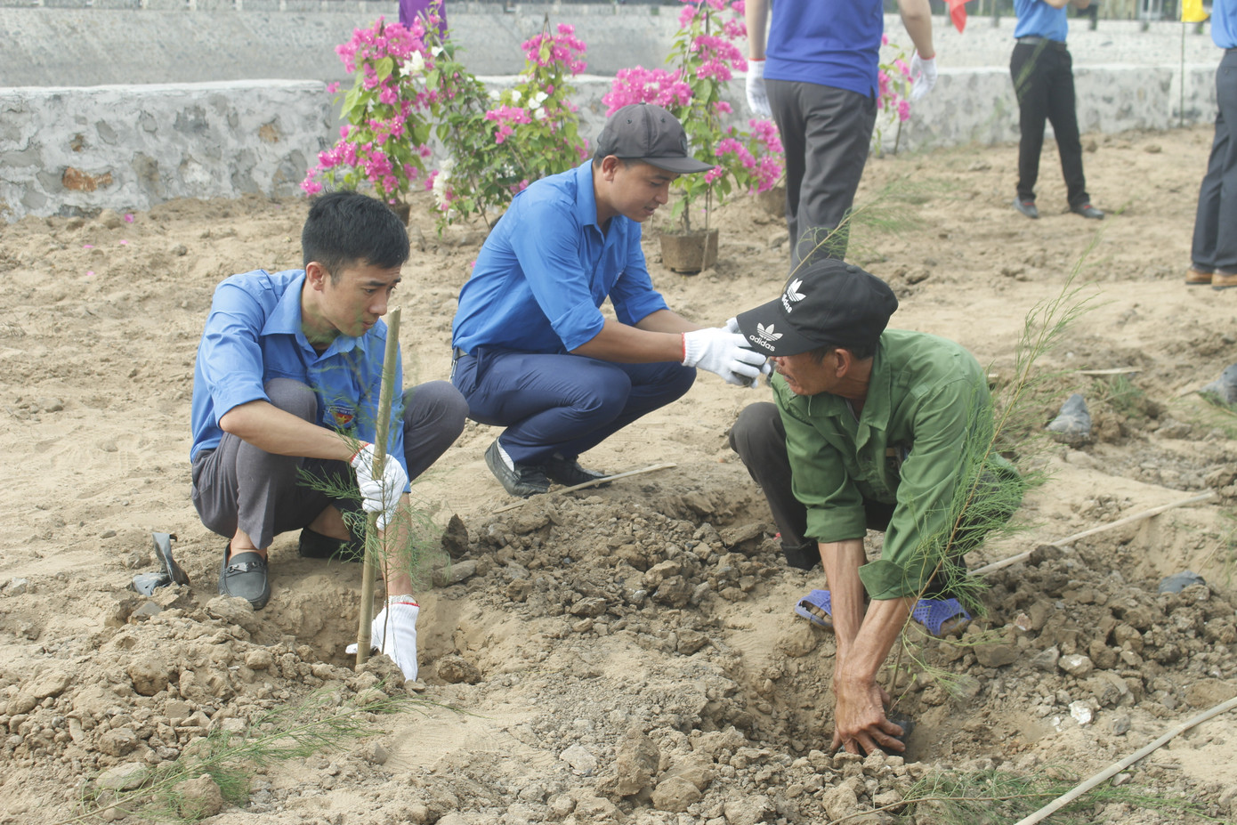 Tuổi trẻ ngành than hưởng ứng Ngày môi trường thế giới ảnh 5