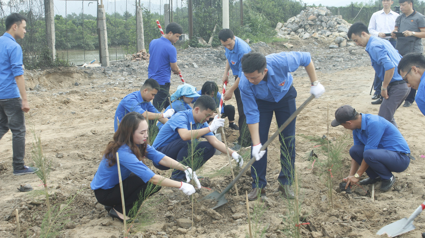 Tuổi trẻ ngành than hưởng ứng Ngày môi trường thế giới ảnh 2