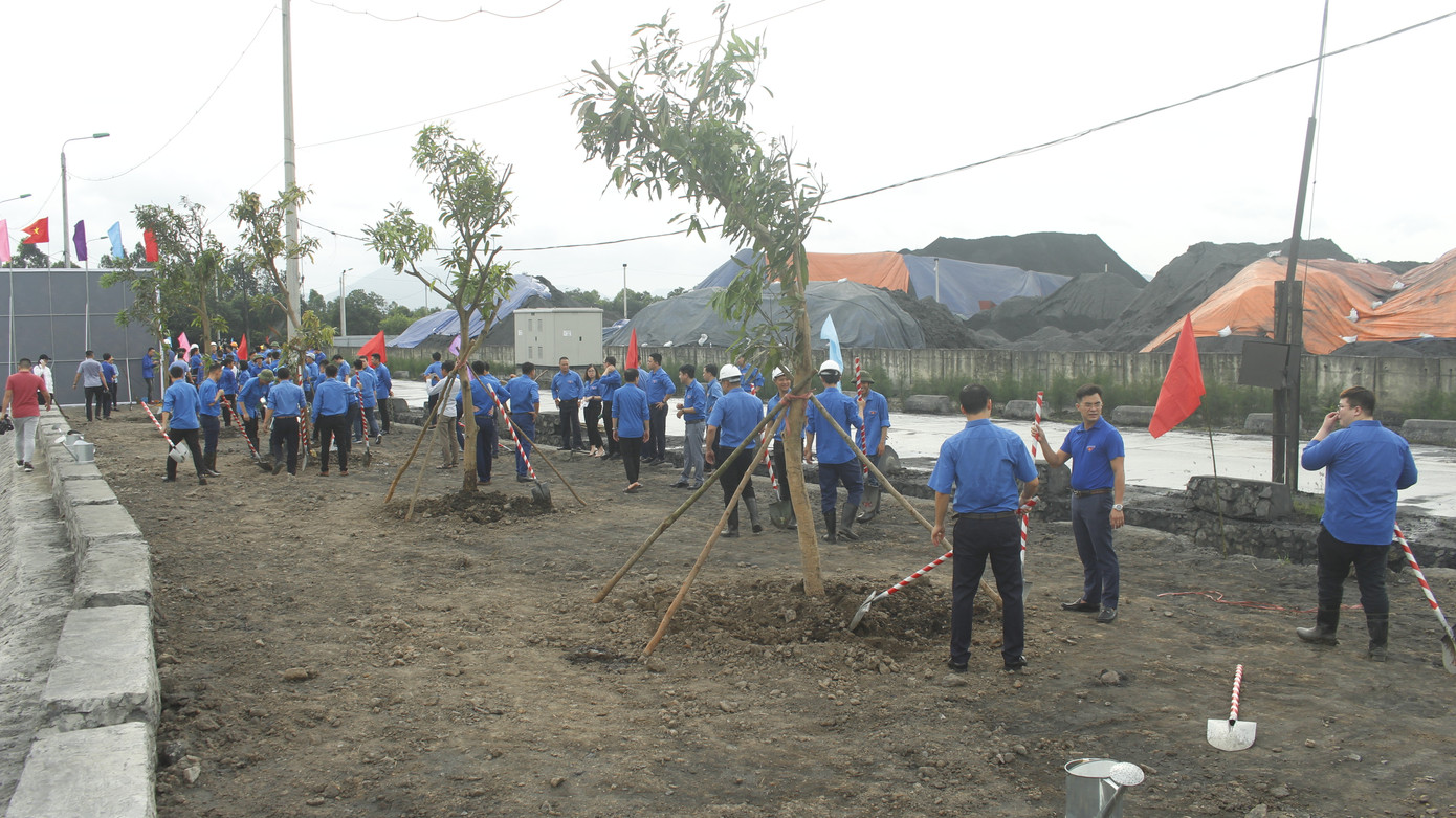 Tuổi trẻ ngành than hưởng ứng Ngày môi trường thế giới ảnh 1