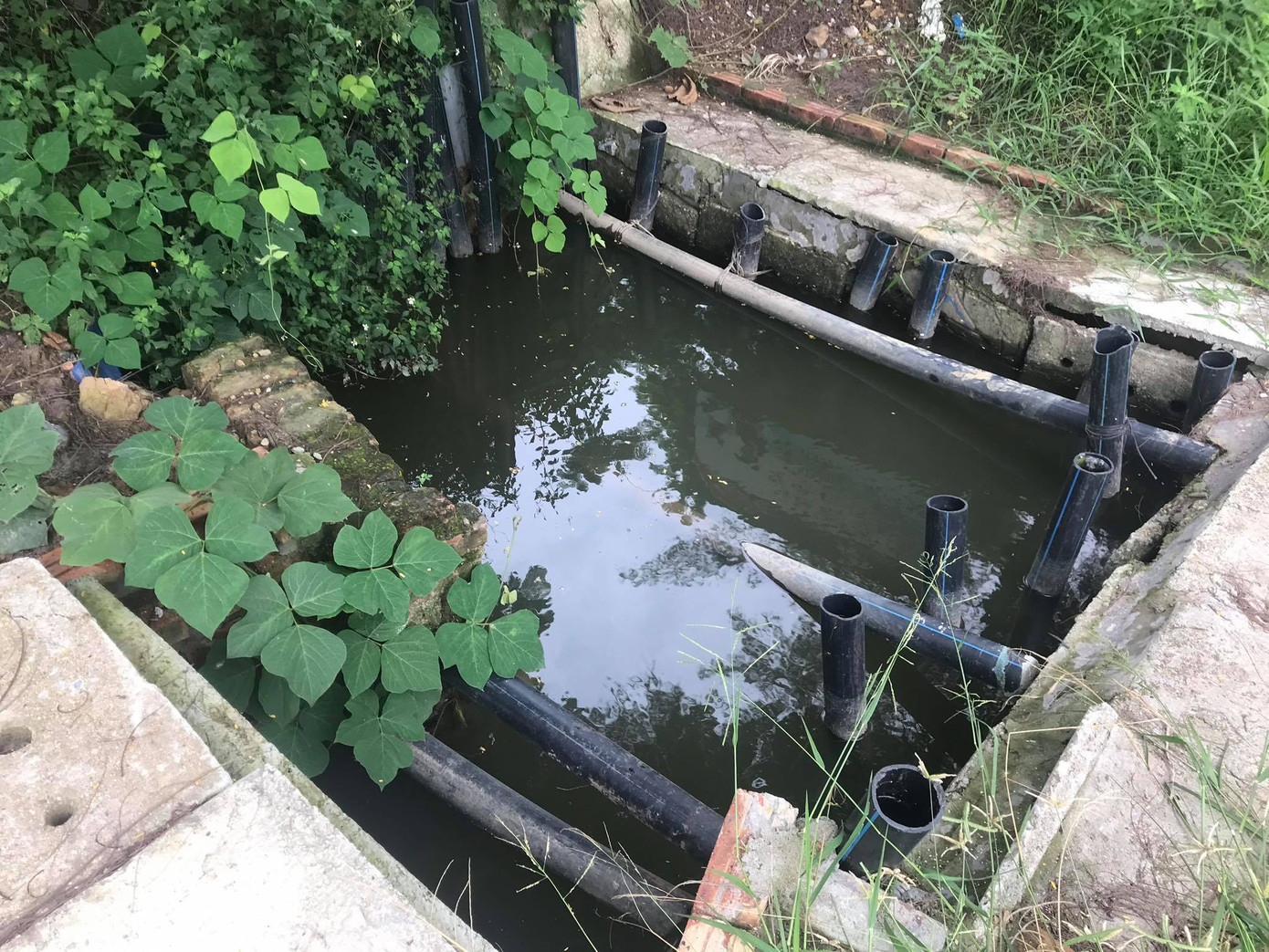 Hàng nghìn hộ dân bất an vì nước sinh hoạt chuyển màu, bốc mùi hôi nồng nặc ảnh 2