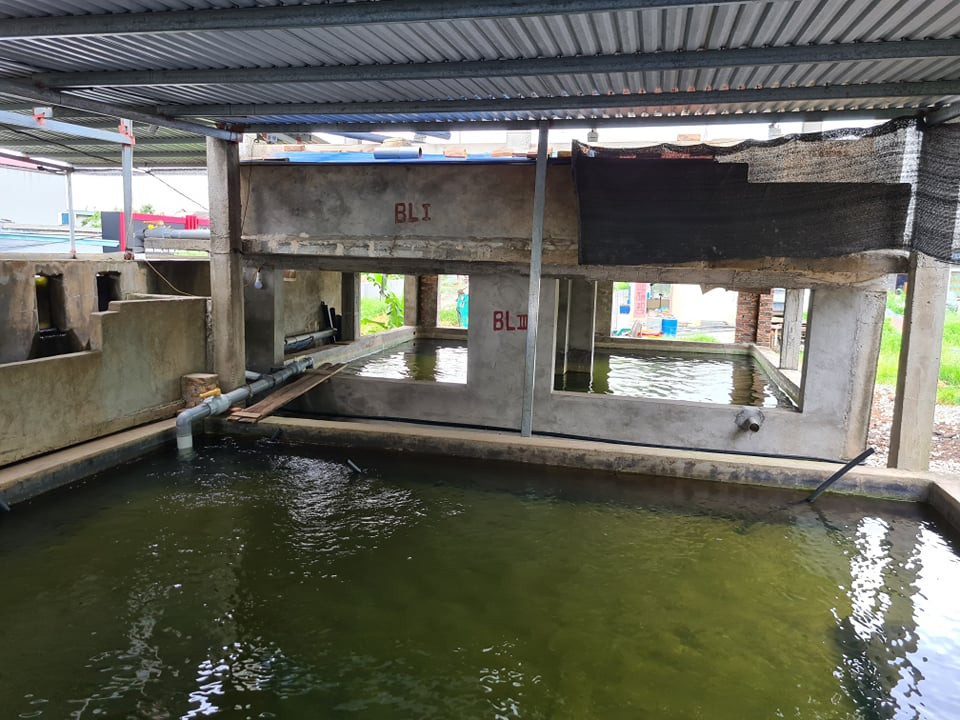 Hàng nghìn hộ dân bất an vì nước sinh hoạt chuyển màu, bốc mùi hôi nồng nặc ảnh 4