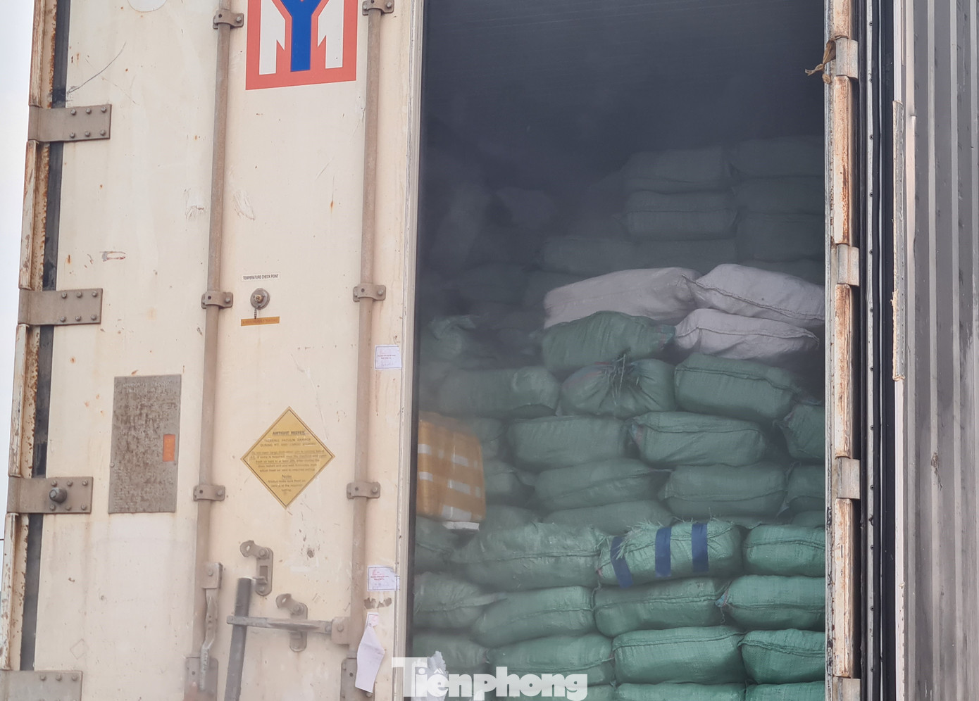 Tiêu hủy 24 tấn nội tạng, tai lưỡi lợn nhiễm dịch tả châu Phi ảnh 4