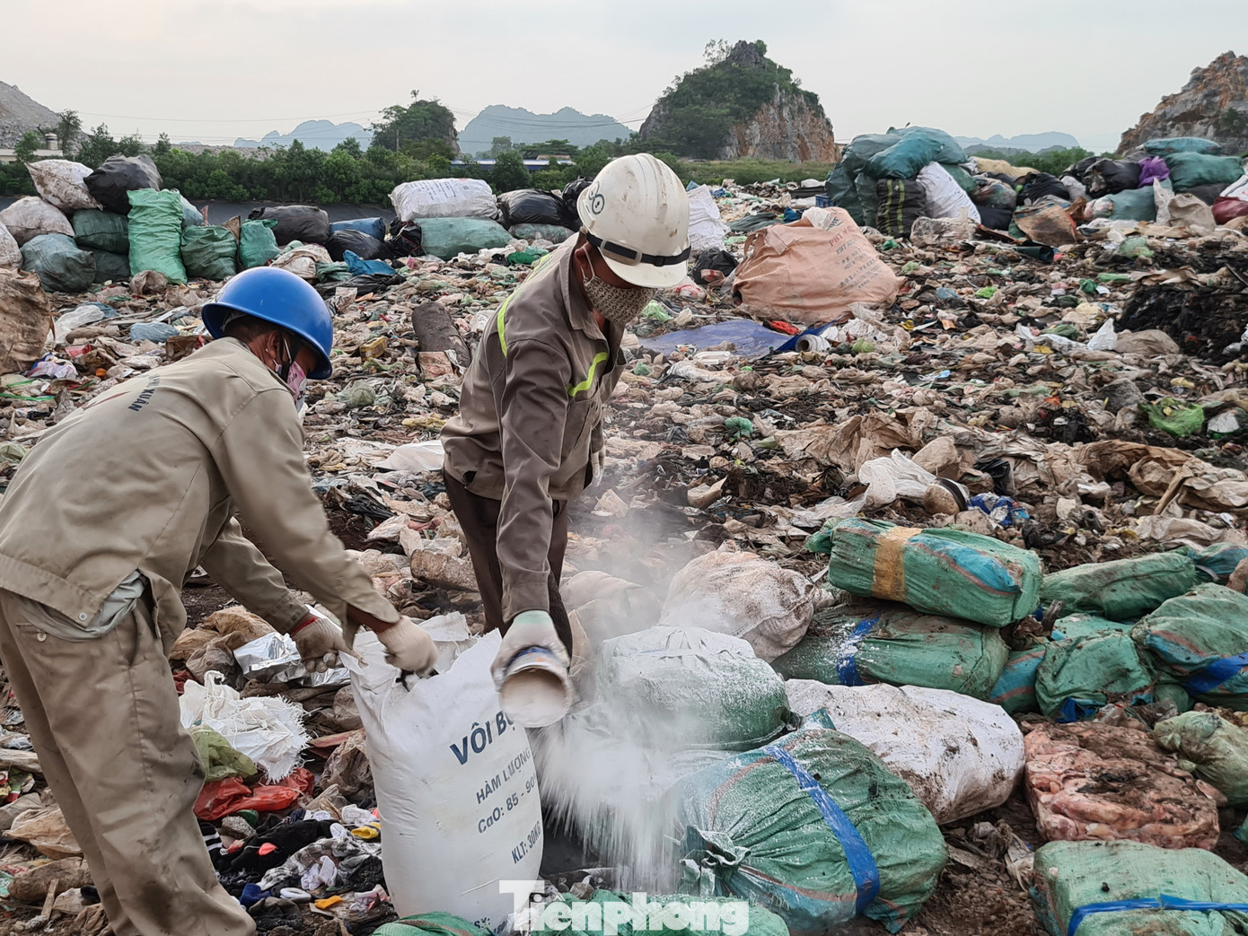 Tiêu hủy 24 tấn nội tạng, tai lưỡi lợn nhiễm dịch tả châu Phi ảnh 9