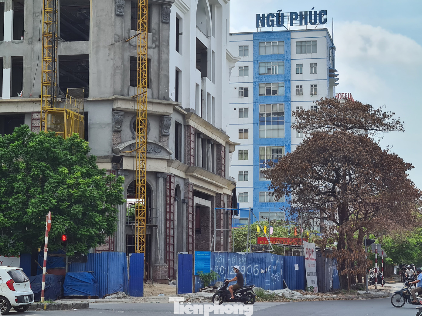 Công an vào cuộc vụ hàng loạt cây xanh bị 'bức tử' ở Hải Phòng ảnh 4