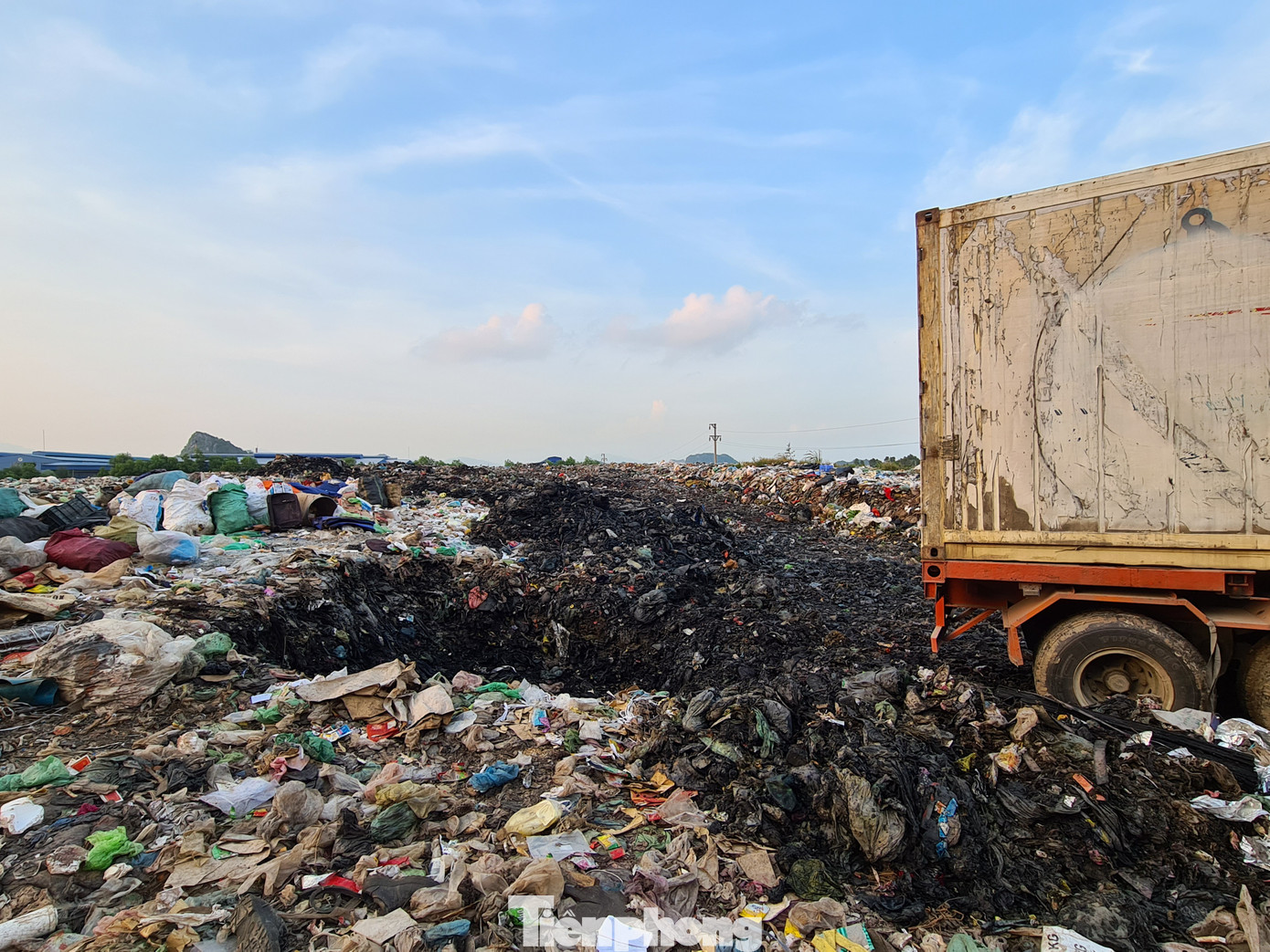 Tiêu hủy 24 tấn nội tạng, tai lưỡi lợn nhiễm dịch tả châu Phi ảnh 7