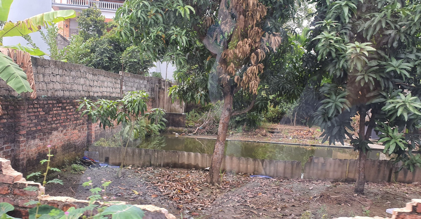 4 người thương vong vì mâu thuẫn đất đai ở Hải Phòng ảnh 1