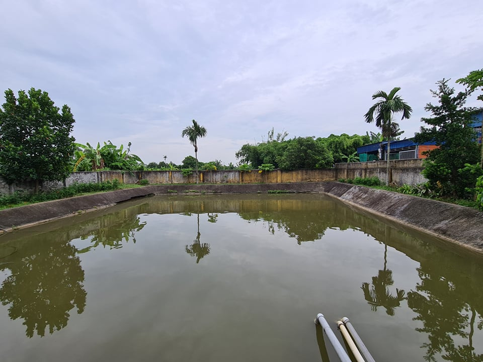 Hàng nghìn hộ dân bất an vì nước sinh hoạt chuyển màu, bốc mùi hôi nồng nặc ảnh 3