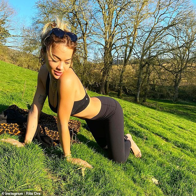 Rita Ora mặc bikini thả dáng khó đỡ khi tắm nắng ở vườn nhà ảnh 4