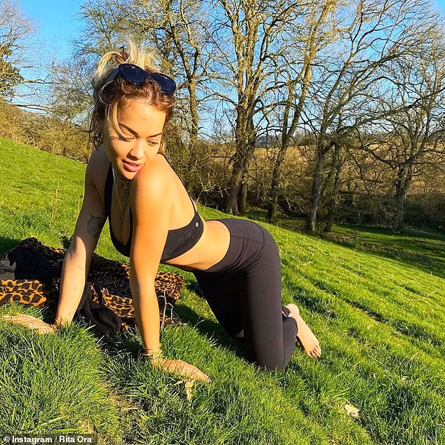 Rita Ora mặc bikini thả dáng khó đỡ khi tắm nắng ở vườn nhà ảnh 4