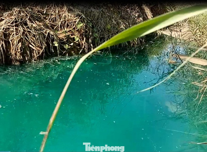 Mương nước xuất hiện màu xanh lạ, bốc mùi thuốc sâu ở Bình Dương ảnh 2