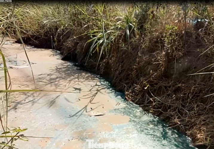 Mương nước xuất hiện màu xanh lạ, bốc mùi thuốc sâu ở Bình Dương ảnh 4