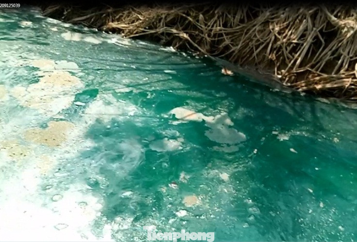 Mương nước xuất hiện màu xanh lạ, bốc mùi thuốc sâu ở Bình Dương ảnh 3