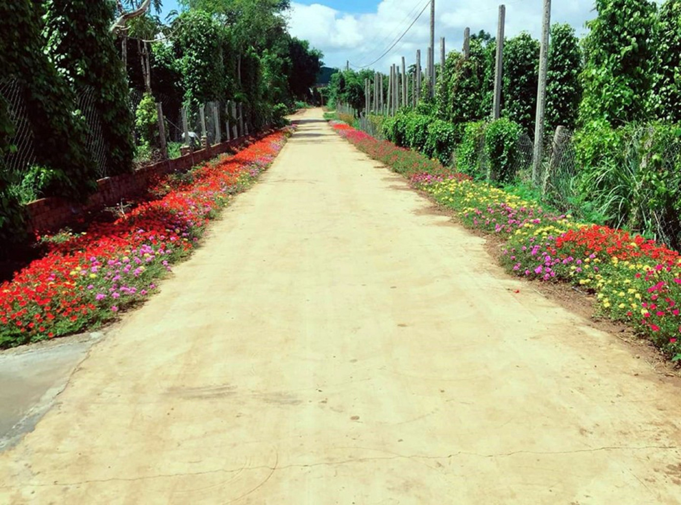 Huyện Ea Kar: Nông thôn mới khởi sắc ảnh 1