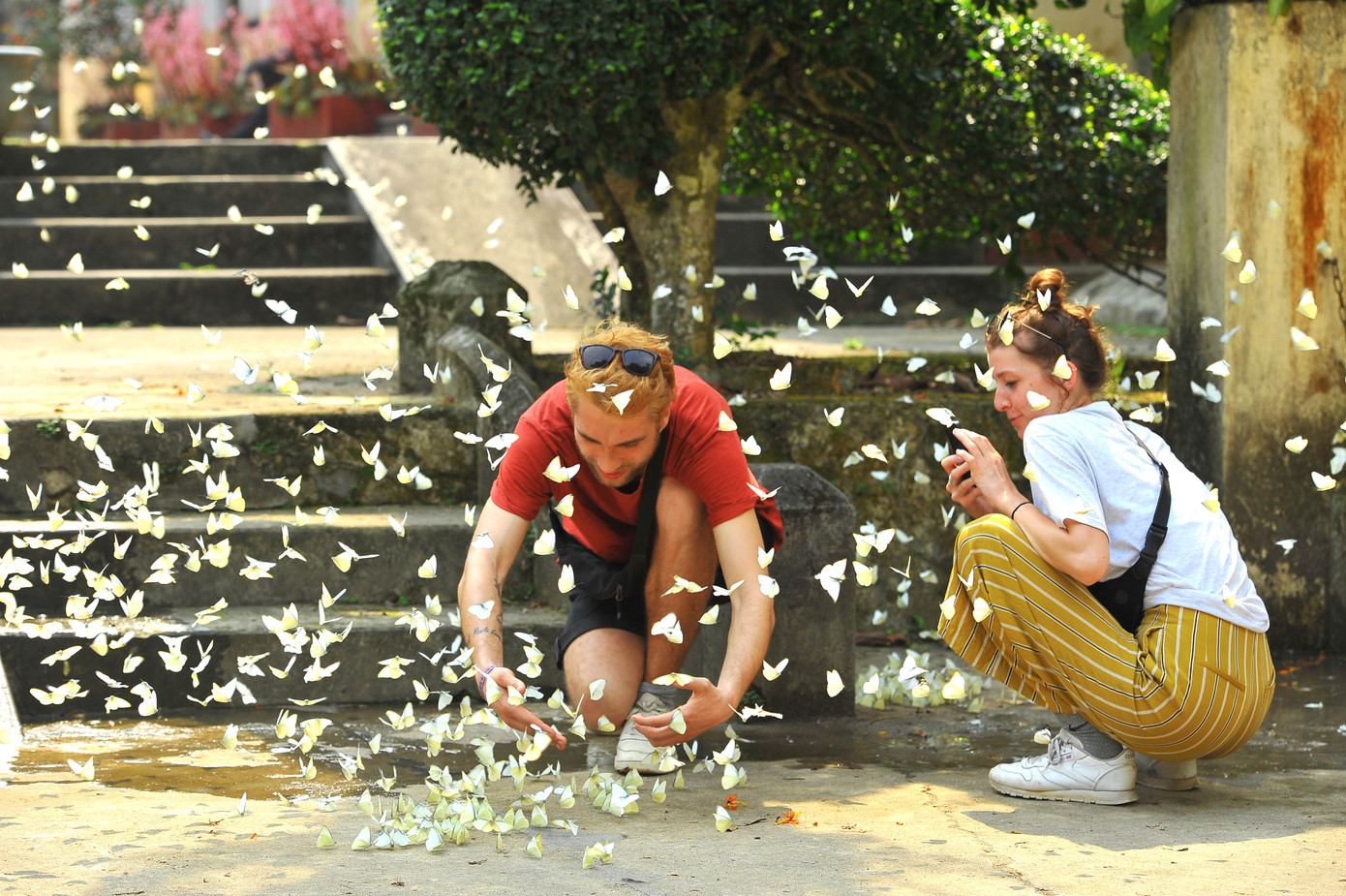 Cúc Phương hoang dã ảnh 1