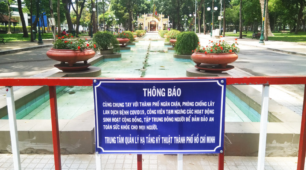 Săn ảnh chim trời vào thành phố trong thời gian 'cách ly xã hội' ảnh 1