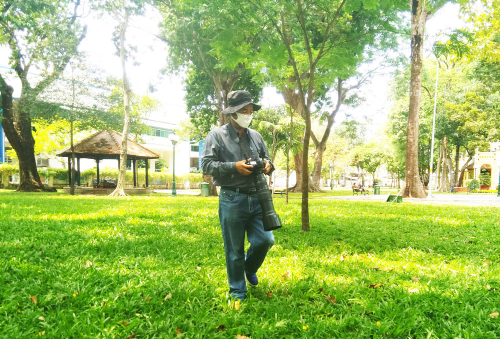 Săn ảnh chim trời vào thành phố trong thời gian 'cách ly xã hội' ảnh 4