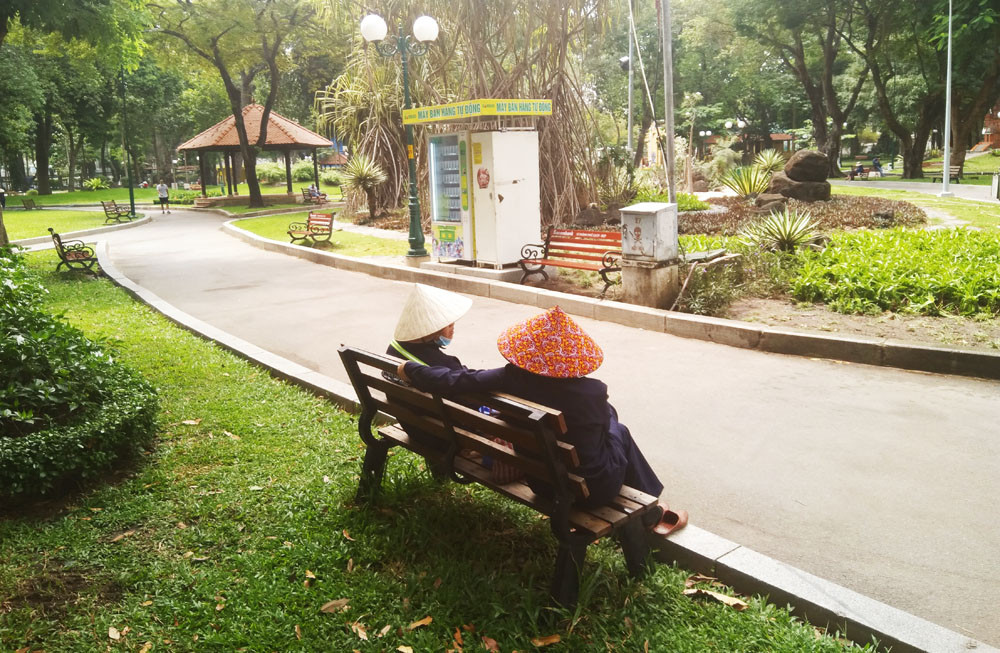 Săn ảnh chim trời vào thành phố trong thời gian 'cách ly xã hội' ảnh 2