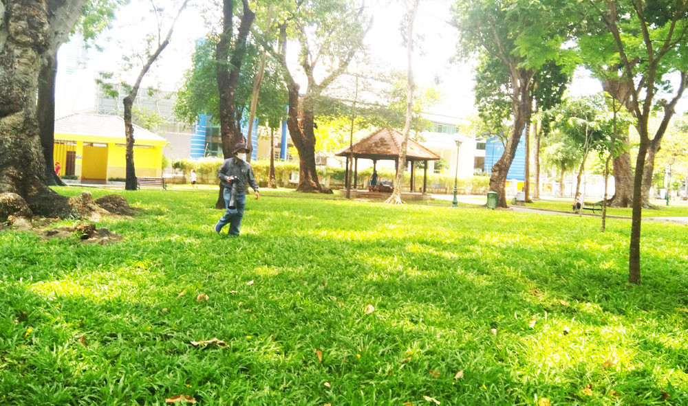 Săn ảnh chim trời vào thành phố trong thời gian 'cách ly xã hội' ảnh 3