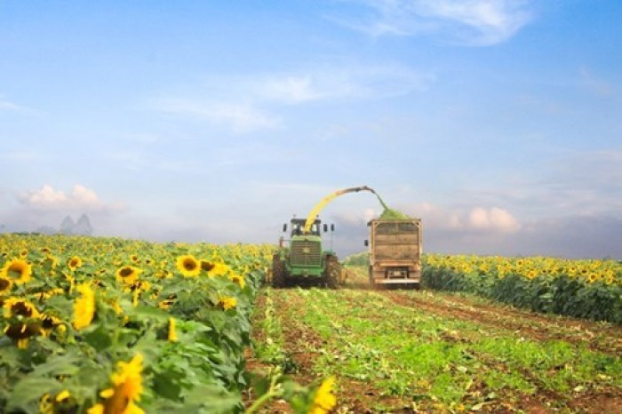 TH True Milk là doanh nghiệp đầu tiên xuất khẩu sữa chính ngạch sang Trung Quốc ảnh 5