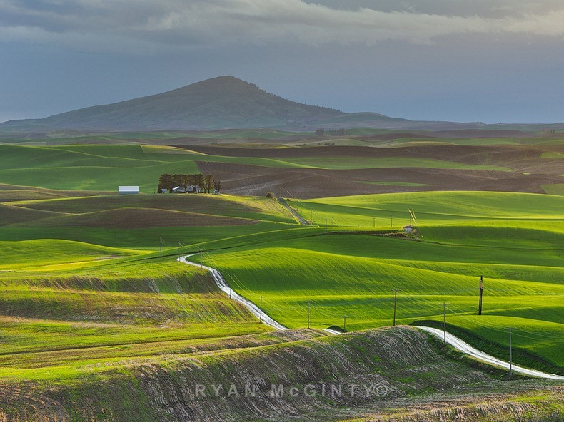 Ngắm vùng đất có những thảm cỏ đa sắc màu đẹp hơn tranh sơn mài ảnh 9