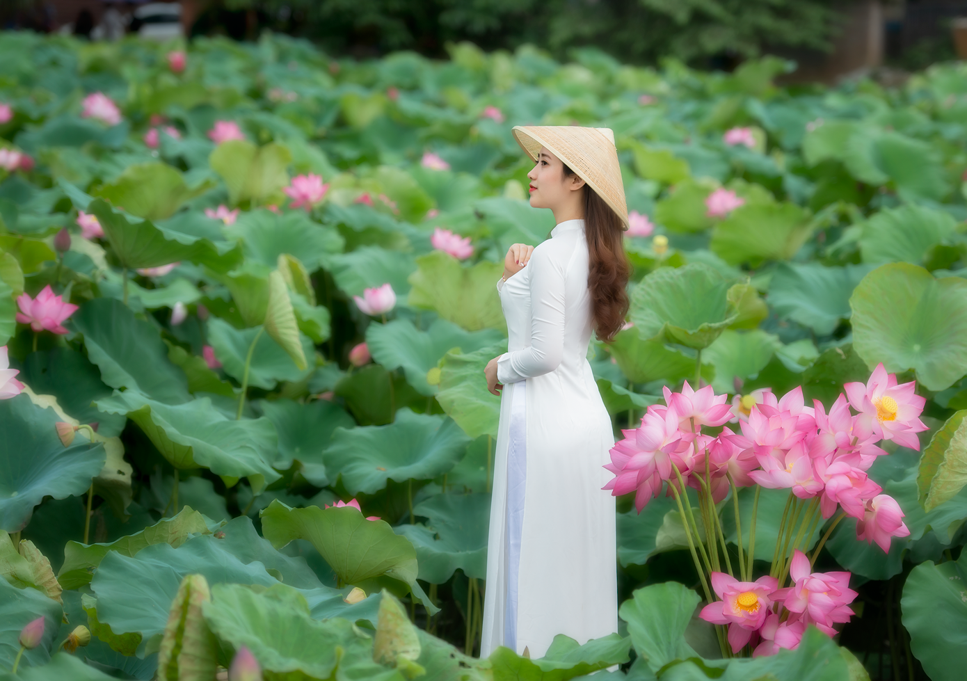 Không bao giờ thất bại, tất cả chỉ là thử thách ảnh 13